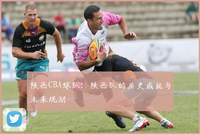 陕西CBA球队：陕西队的历史成就与未来规划