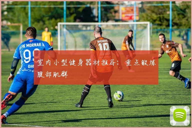 室内小型健身器材推荐：重点锻炼腹部肌群