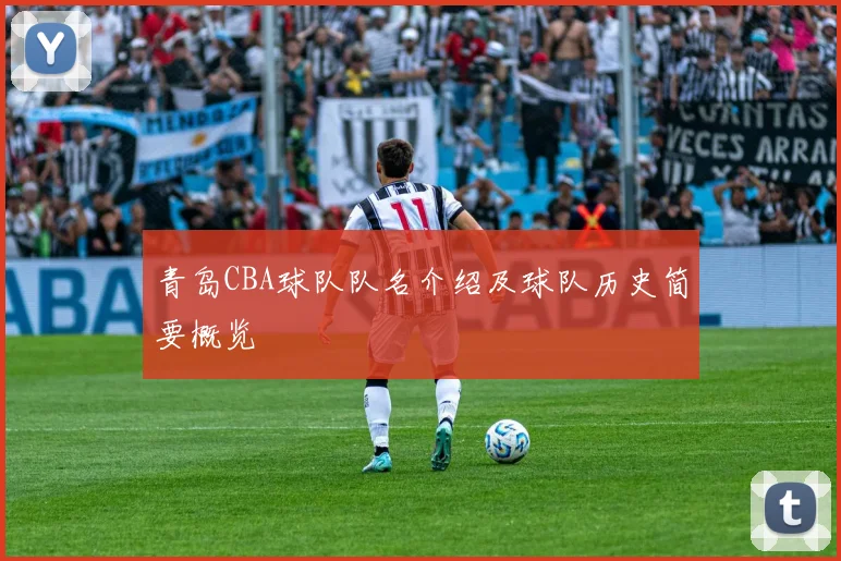 青岛CBA球队队名介绍及球队历史简要概览