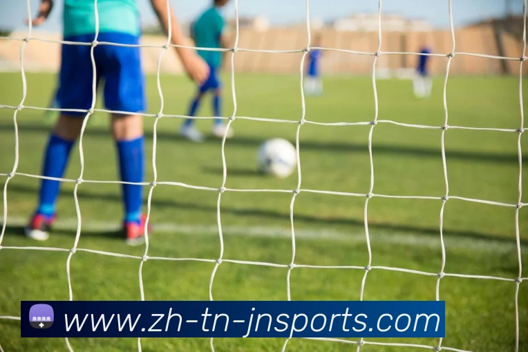 江南体育APP下载平台生态图